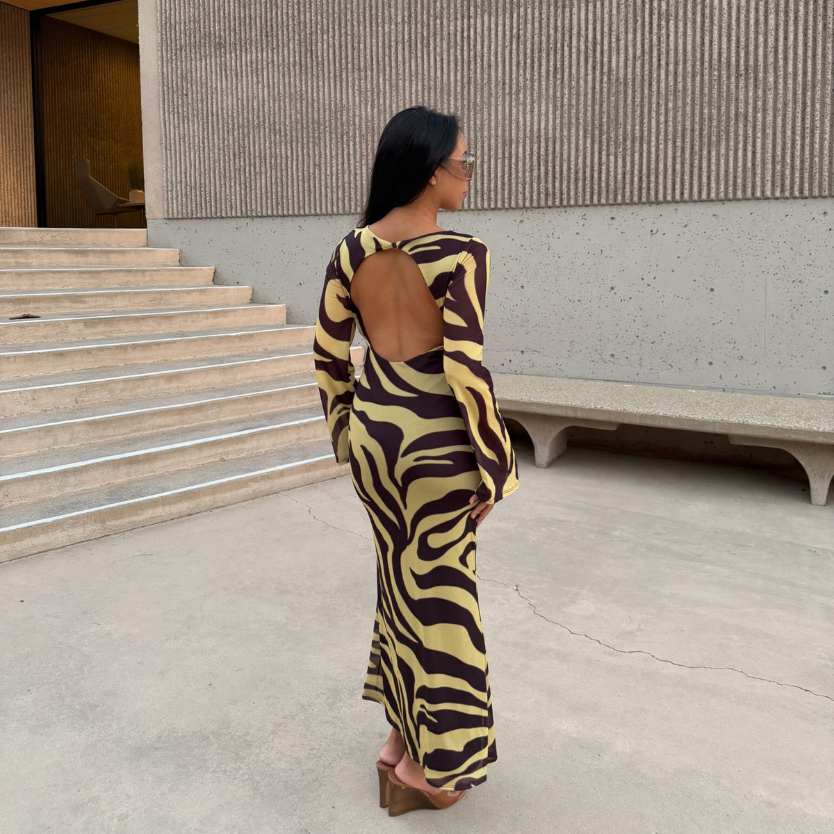 Zebra Dress